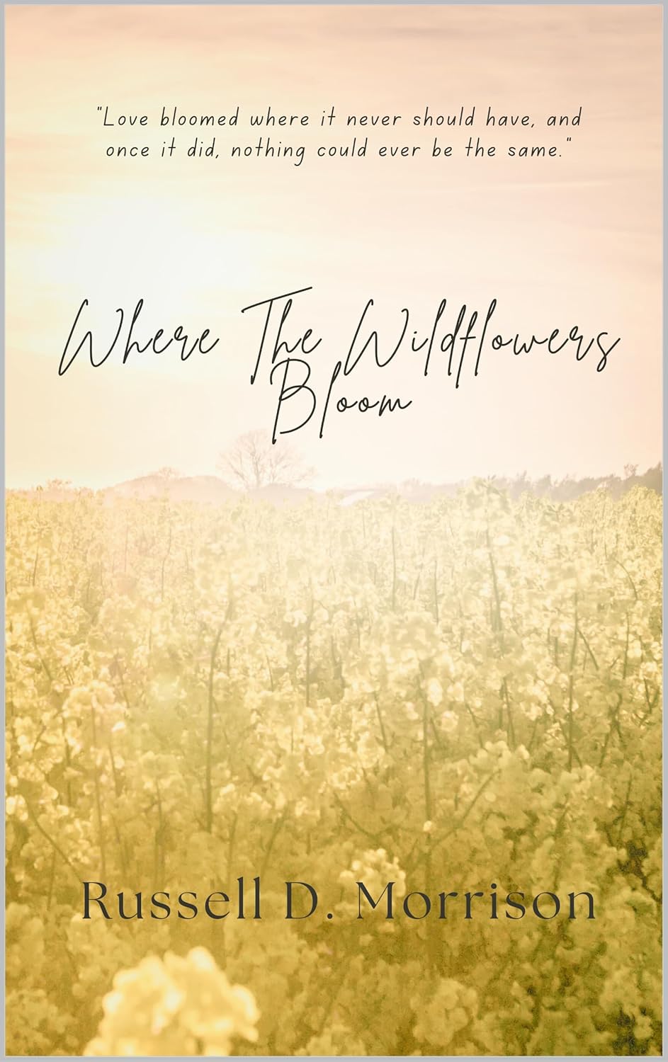 Where The Wildflowers Bloom